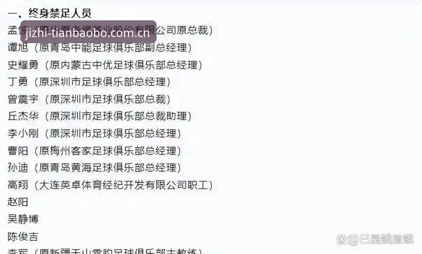 资深用户刘姐深度体验分享：从足协第三批禁足名单看中国足球的自我革新之路